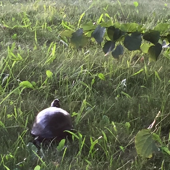 Meet your Posher, Claire - Picture 1 of 1